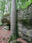 2022-10-10 - 16-29-36 - fränkische schweiz-018